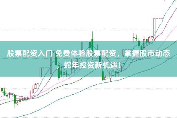 股票配资入门 免费体验股票配资,掌握股市动态,蛇年投资新机遇!