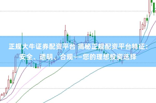 正规大牛证券配资平台 揭秘正规配资平台特征:安全、透明、合规——您的理想投资选择
