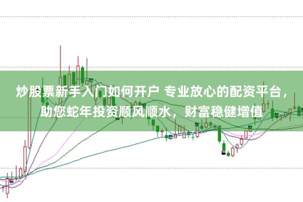 炒股票新手入门如何开户 专业放心的配资平台,助您蛇年投资顺风顺水,财富稳健增值