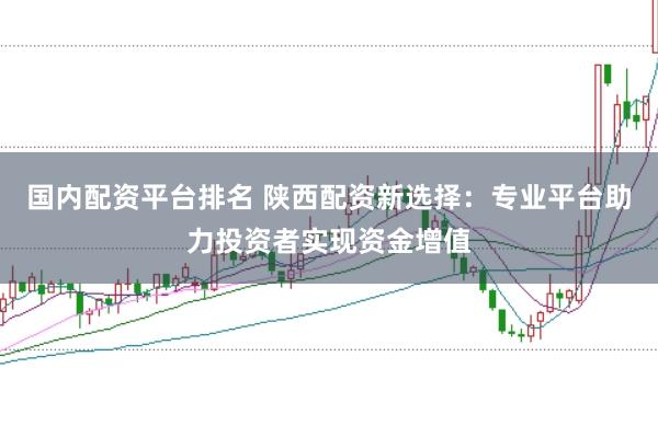 国内配资平台排名 陕西配资新选择：专业平台助力投资者实现资金增值