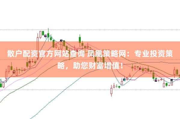 散户配资官方网站查询 凤凰策略网:专业投资策略,助您财富增值!