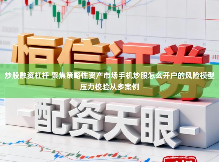 炒股融资杠杆 聚焦策略性资产市场手机炒股怎么开户的风险模型压力校验从多案例